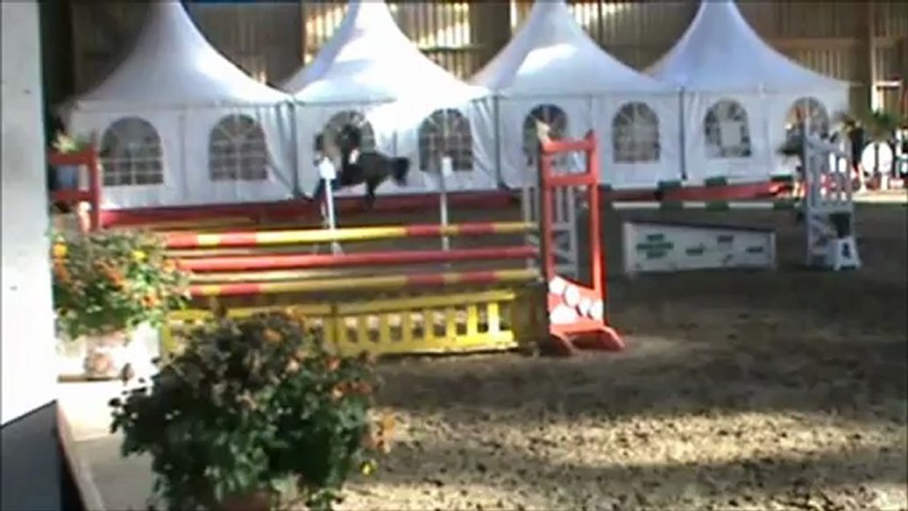 Wirenco & Ana FARIA LEAL Grand Prix 1m15, Gaillon st Aubin