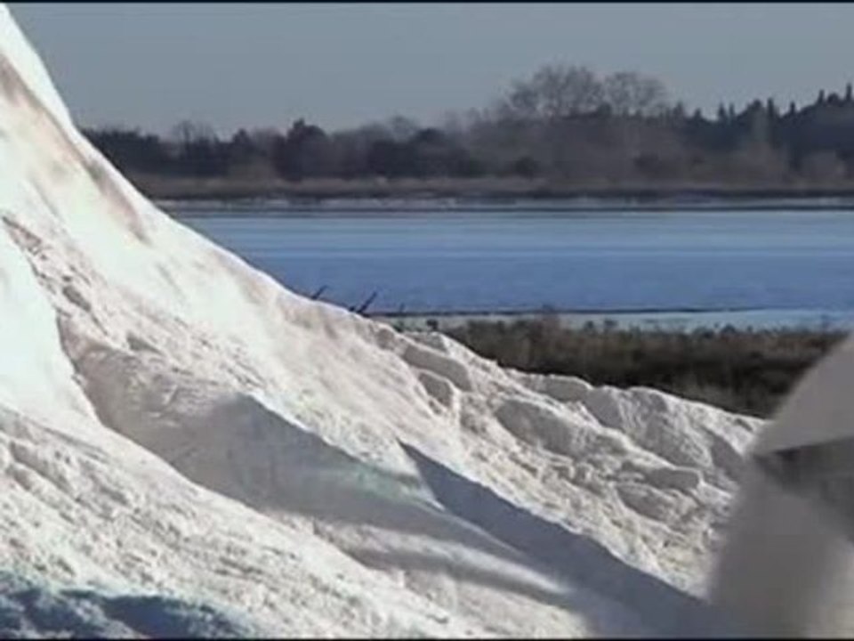 900 tonnes de sel par jour aux Salins du Midi(Aigues-Mortes)