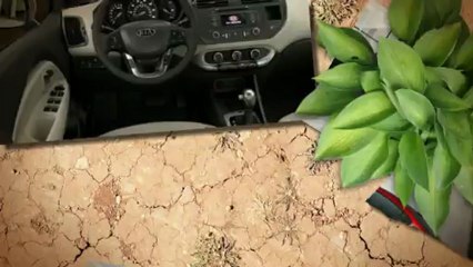 The 2013 Kia Rio near Vallejo at Kia of Fairfield near Vallejo