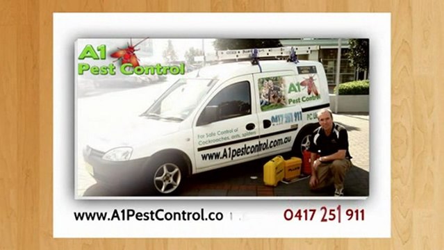 Carlingford Pest Control | Call 0417 251 911