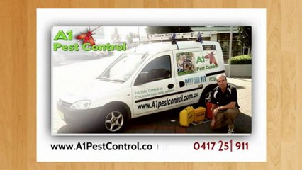 Pest Control In Carlingford | Call 0417 251 911