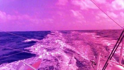 Résumé de la onzième semaine de course