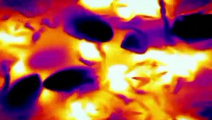 Görünmez Dünyalar : 1 - Hız Limitleri