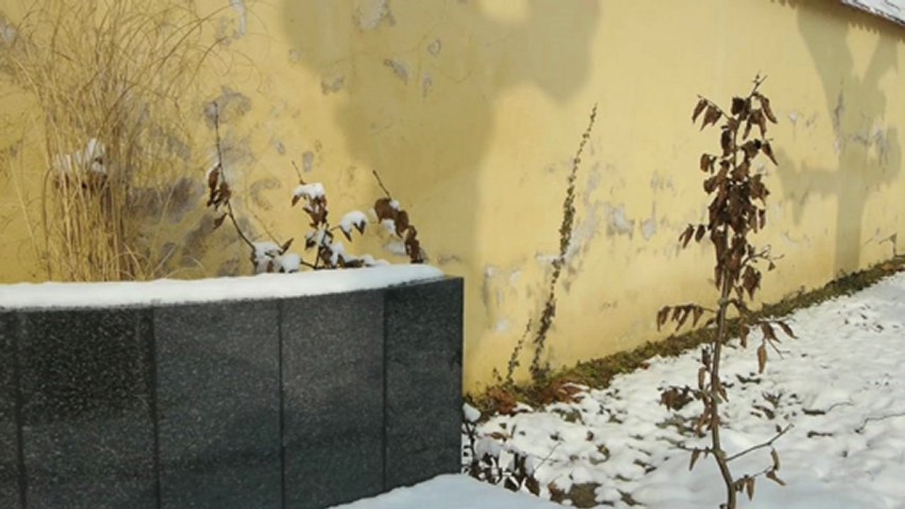 lumière de janvier