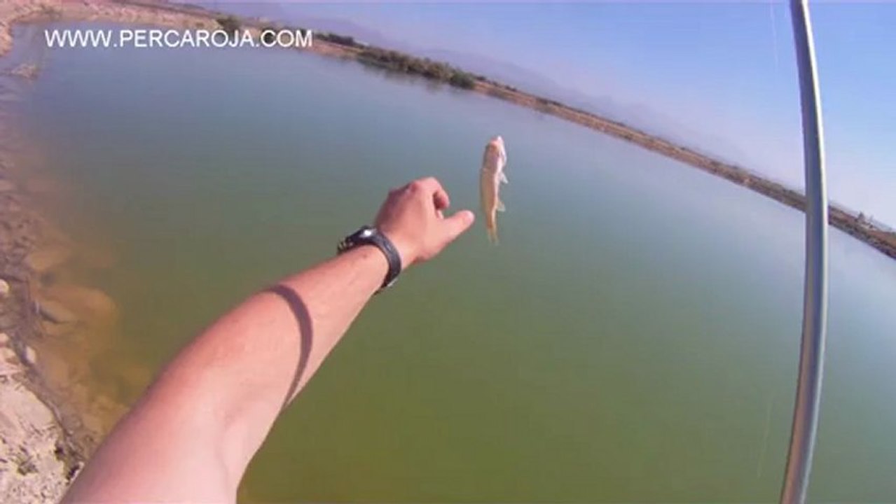 Pesca de 10 Black Bass a vinilo