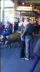 The Bachelor at Pike Place Market