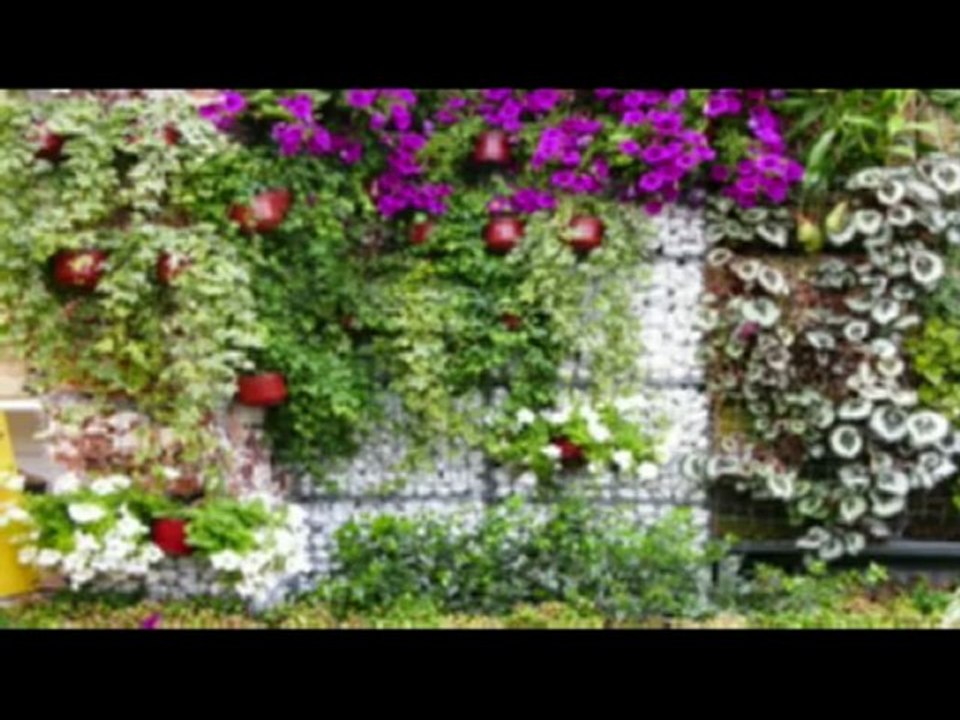 Jardinero Cubelles - Cunit - Calafell - Vendrell - Olivella - Vilafranca - Vilanova - Mantenimiento de Jardines y Piscinas - Limpieza de Parcelas - Neteja - Canyelles - Penedès - Garraf