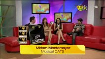 Musical Cats (Más Contenido,Más Valores y Más Cultura)
