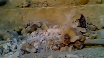 مصر : البيان الأول لقادة حركة كتائب مسلمون