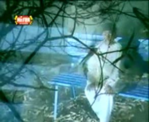Main Lajpalan De Lar Lagiyan- Farhan Ali Qadri