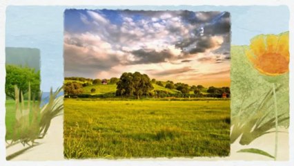 Vermicompost by http://www.greenterraural.com - the best fertilizer growth biodyne and your assistant