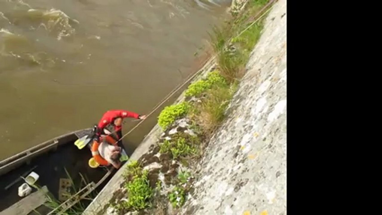 Pôle nautique S.D.I.S.41