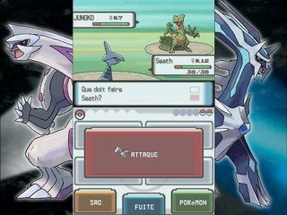 Pokemon Diamant/Perle - 02 - Rival et Pokemontre