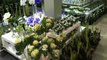 Fleuriste Avignon Exotica livraison de bouquets de fleurs Avignon