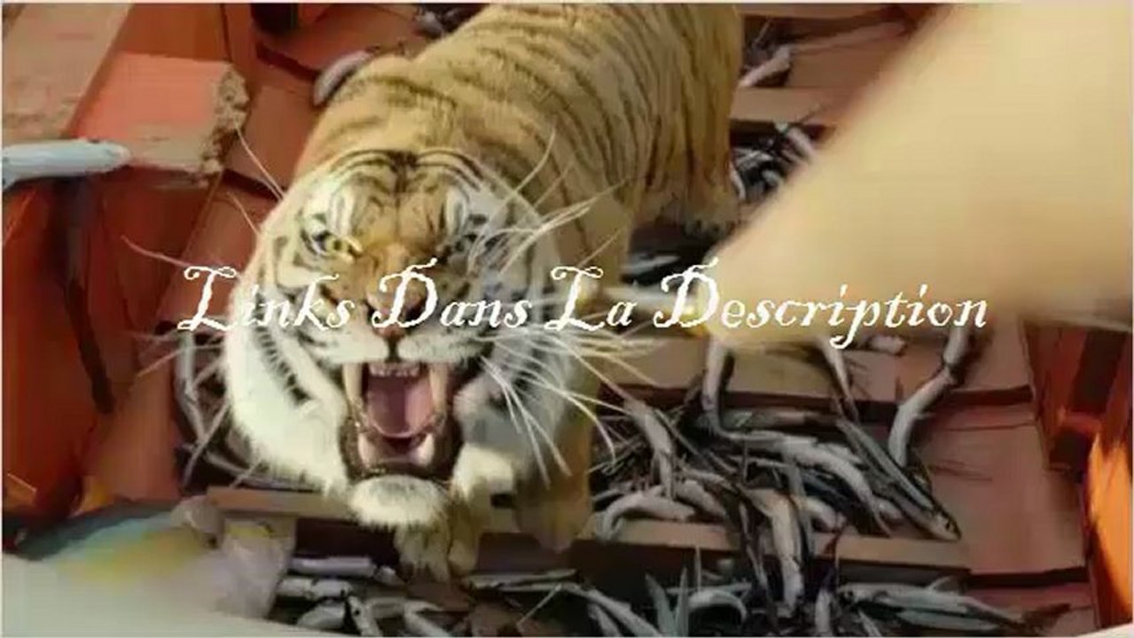 L'Odyssée de Pi film complet en entier en Français VF streaming HD