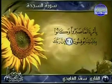 قران كريم تلاوة خاشعه الشيخ سعد الغامدي-Surah As-Sajda