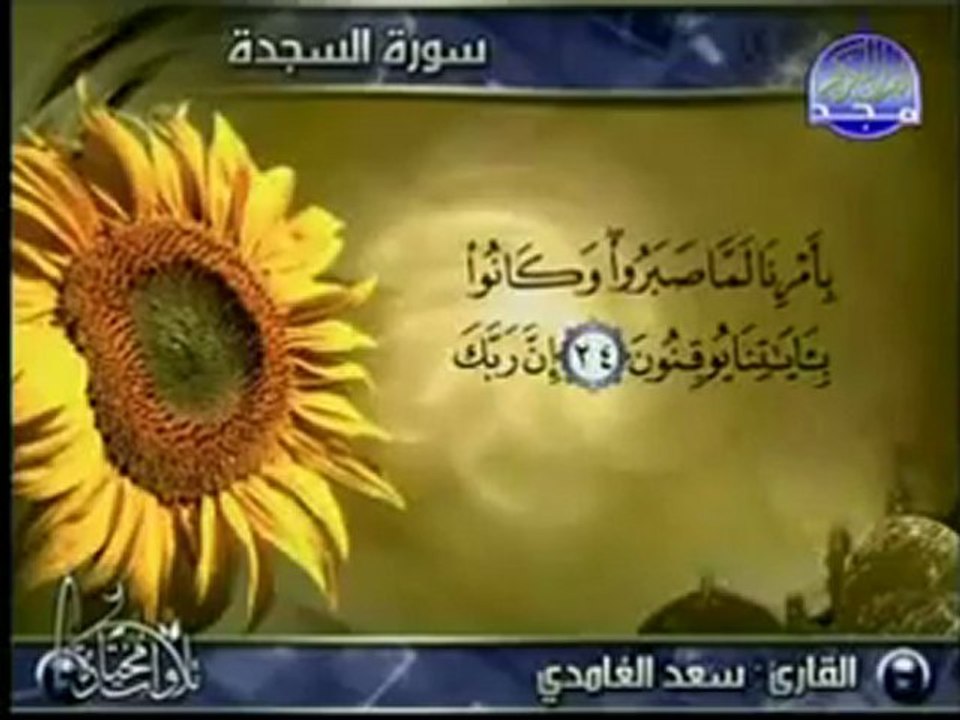 قران كريم تلاوة خاشعه الشيخ سعد الغامدي-Surah As-Sajda