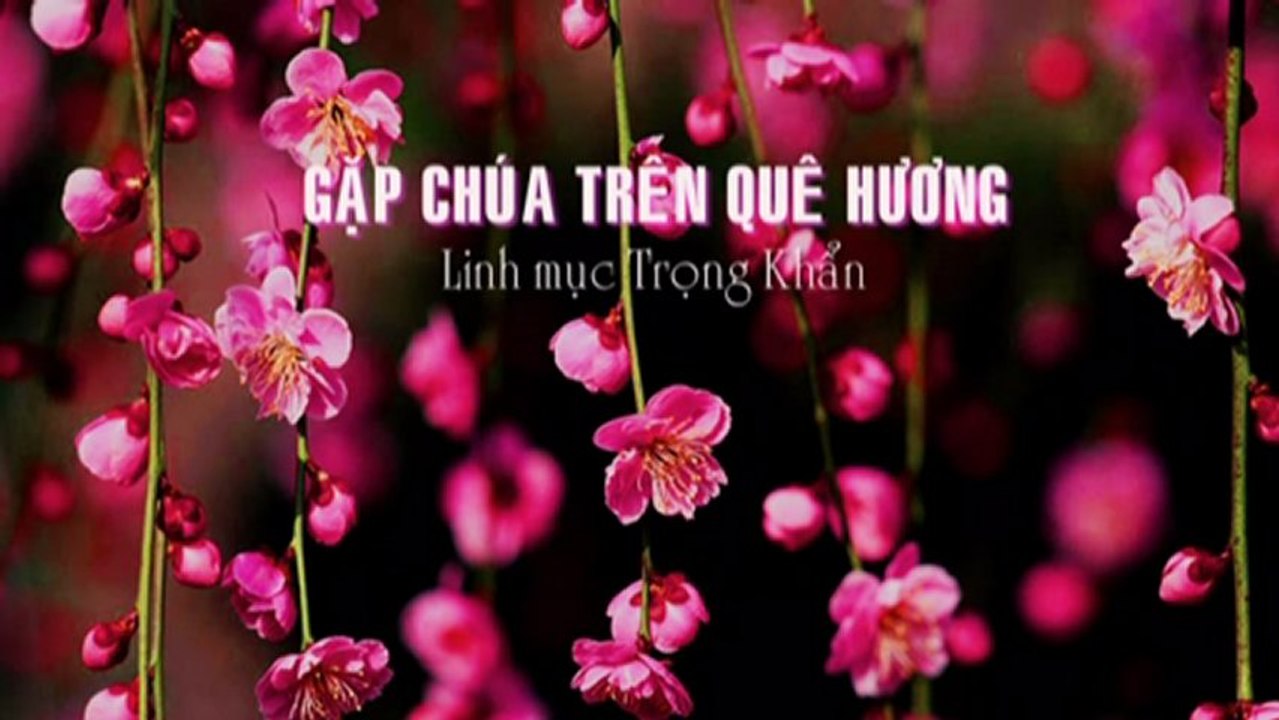 GẶP CHÚA TRÊN QUÊ HƯƠNG