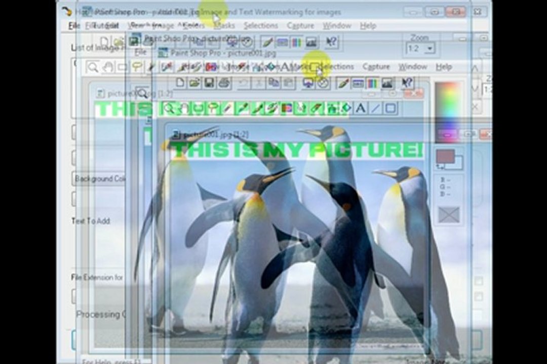 How to add text to single or multiple images to watermark them