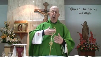 homilía 26-1-2013