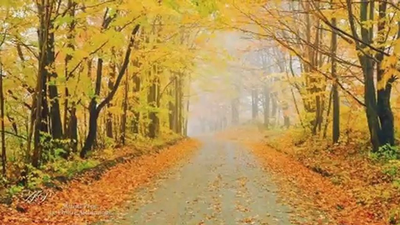 Le Philtre Alchimique