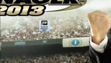 Football Manager 2013 - Crack Fixed SKIDROW