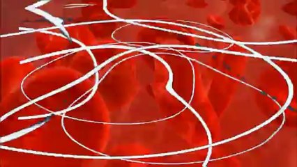 moi et ma belle au bal du samedi soir