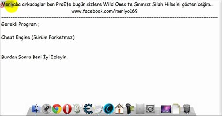 Wild Ones Sınırsız Silah Hilesi 2013