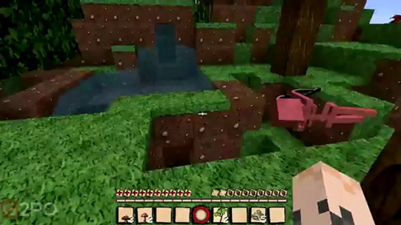 Dumb and Dumber, House Guests: Part 2, Sky Island