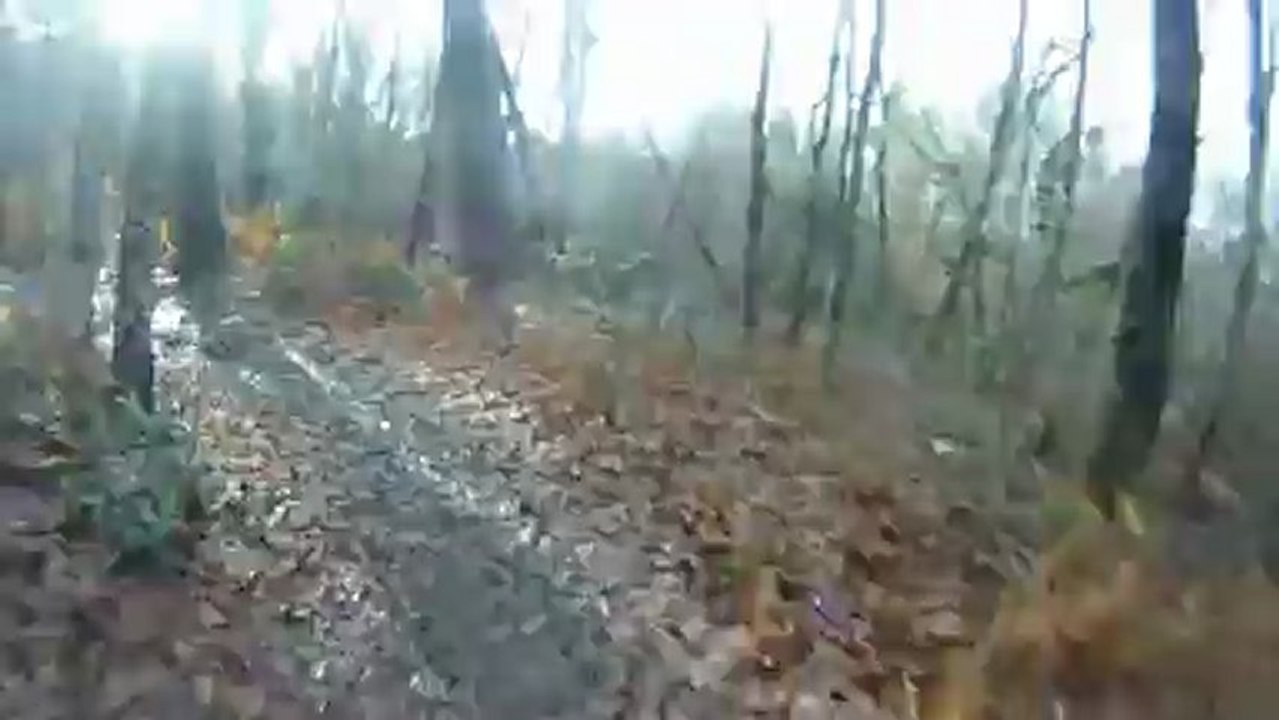 VTT Saint Jean d'Illac by DAZI