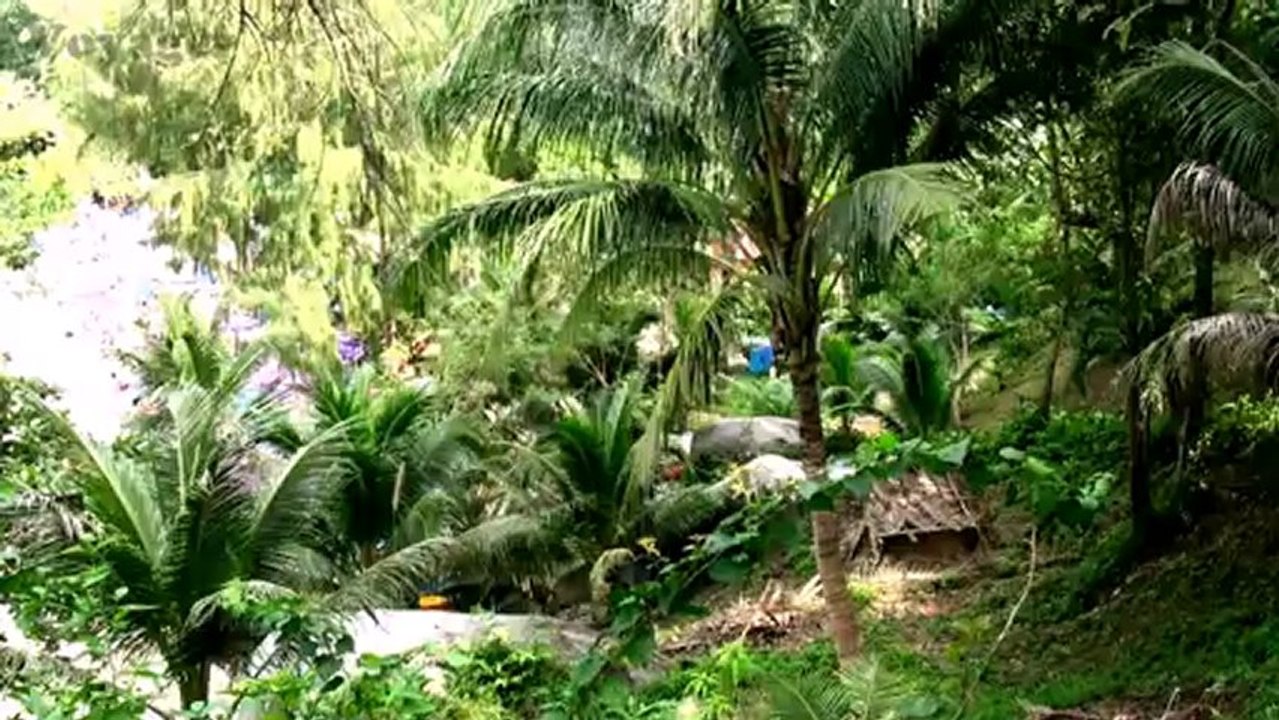 Thailand / Phuket / Patong / Paradise Lagoon