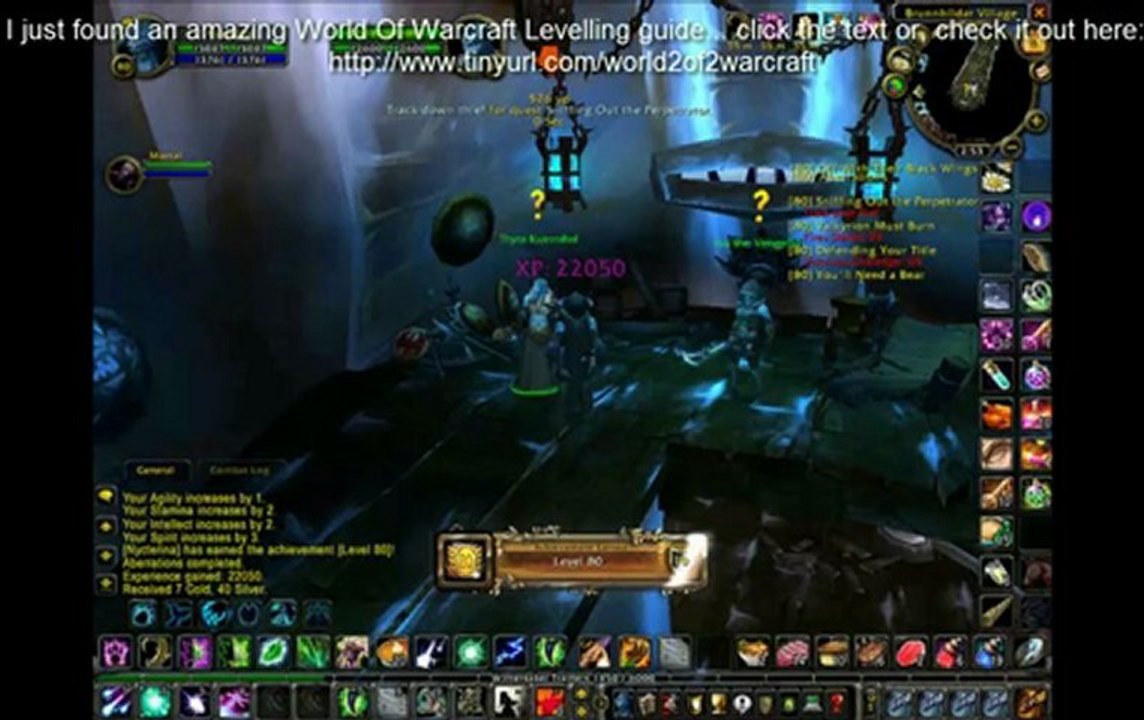 World of Warcraft Level