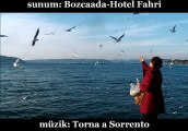 '' Bozcaada-Hotel Fahri'' Çanakkale-Martılar ve Torna a Sorrento