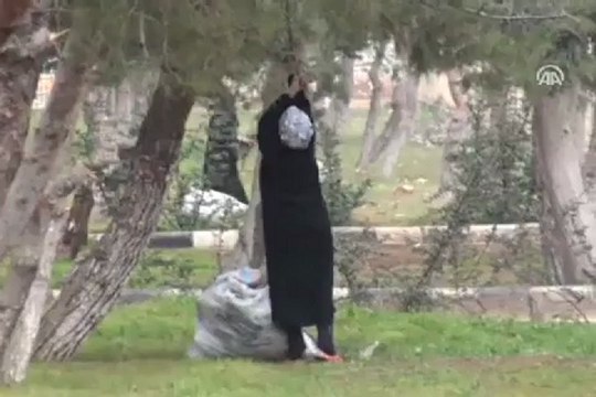 Isınmak için parklardan ağaç kesiyorlar