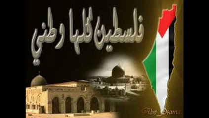 صرخة فلسطين الجريحة: سمير ناجي