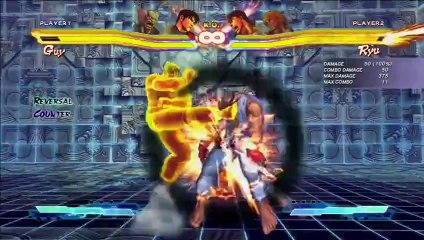 SFxTK Ver. 2013 Guy Changes - Updates