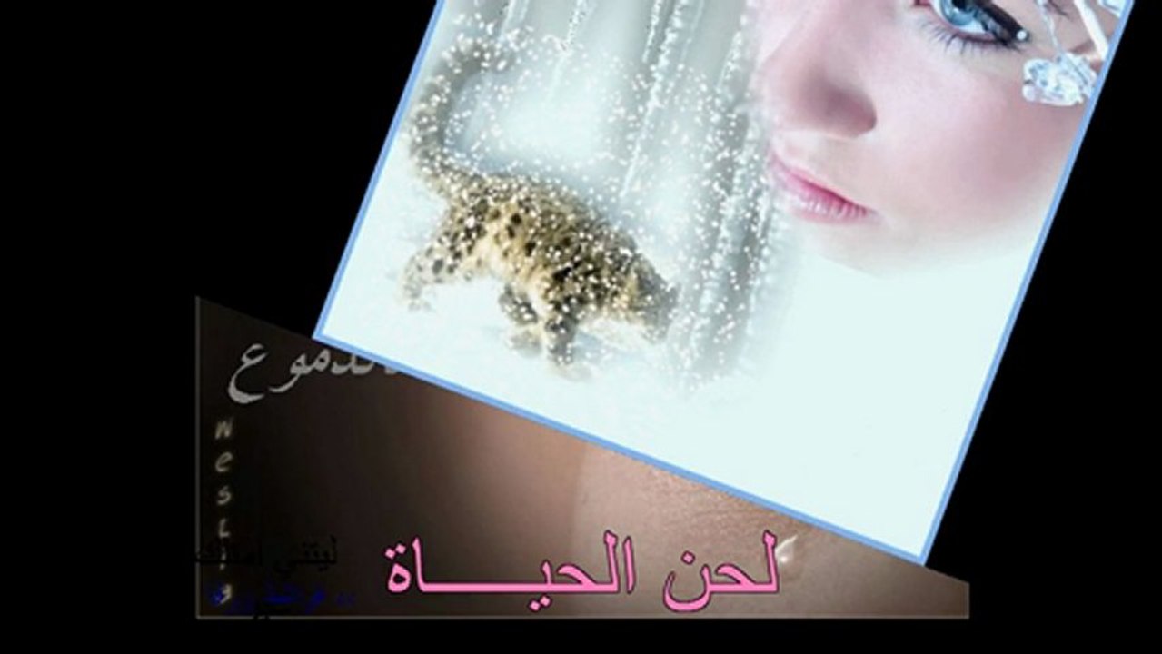 رحلة عمري: لحن الحياة