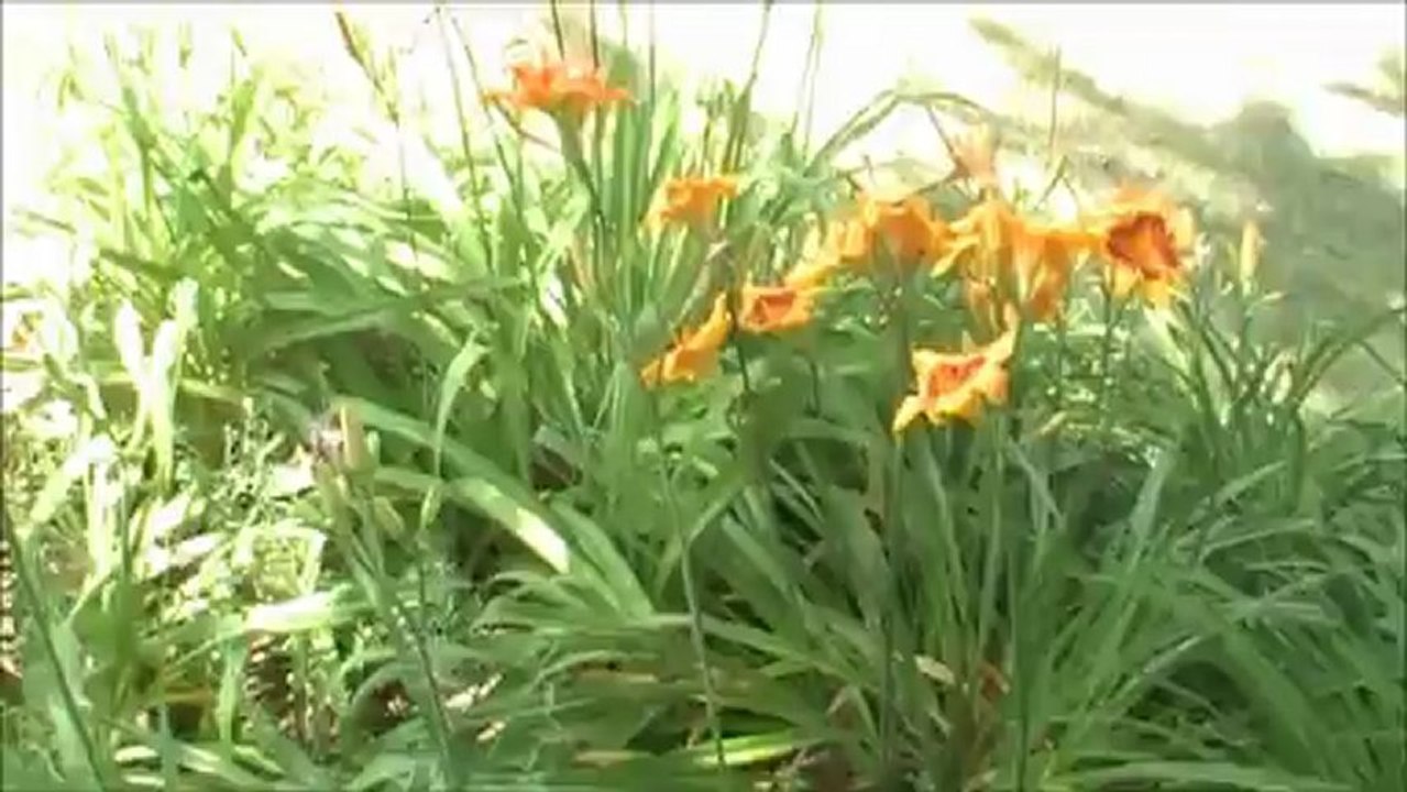 Pizza Stones in da Walls