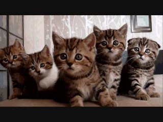 GIF LOVE hihihi lol