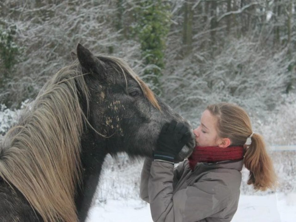 La neiiiige!