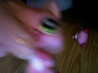 le pic nique littles pet shop