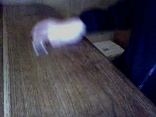 1 mois de skate ses bien