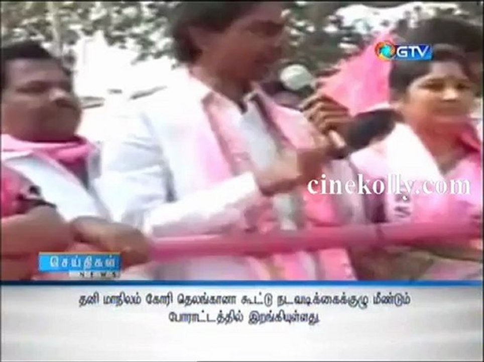 gnews27012013