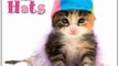 Calendar Review: Cats in Hats 2013 Wall (calendar) by Sellers Publishing