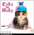 Calendar Review: Cats in Hats 2013 Wall (calendar) by Sellers Publishing