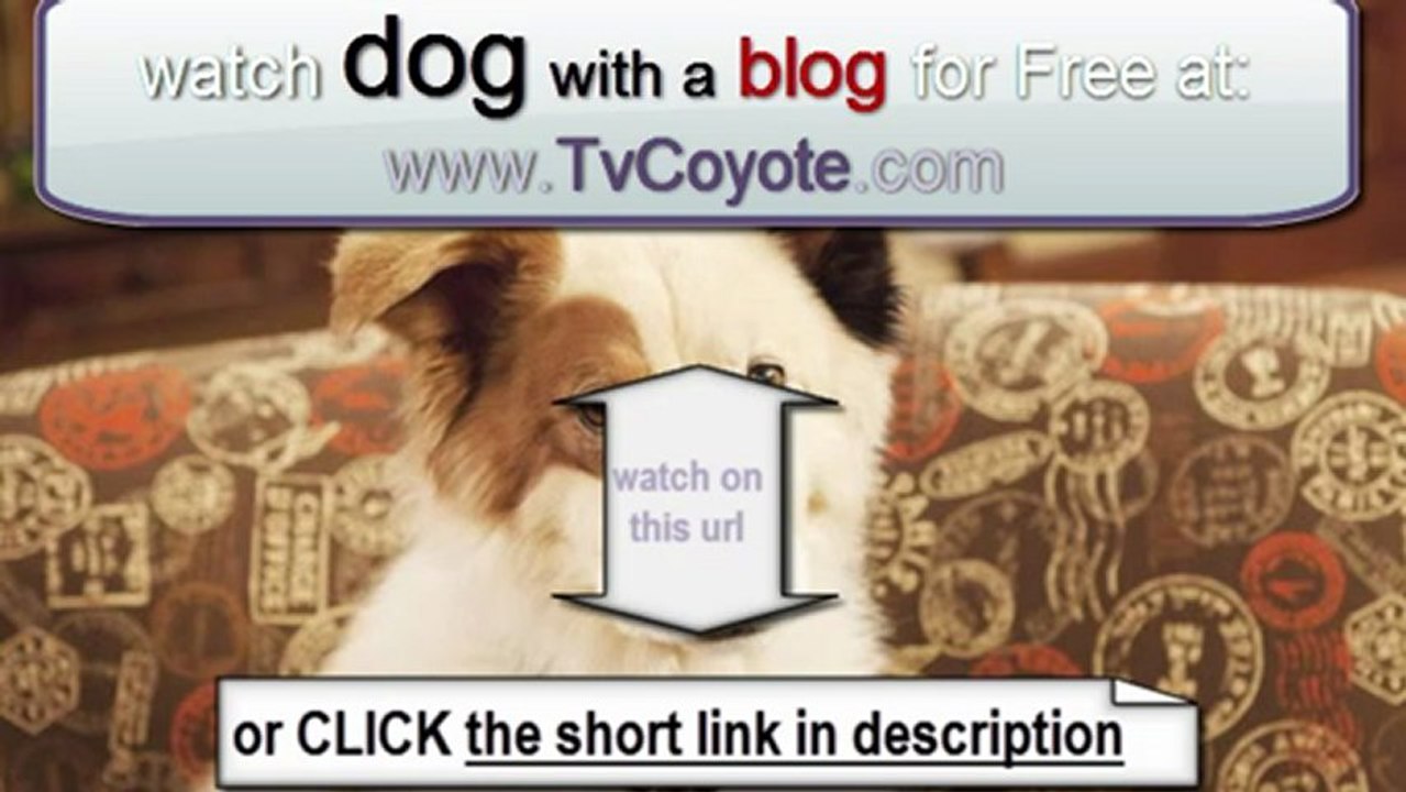 Dog With a Blog Season 1 Episode 7 - The Parrot Trap