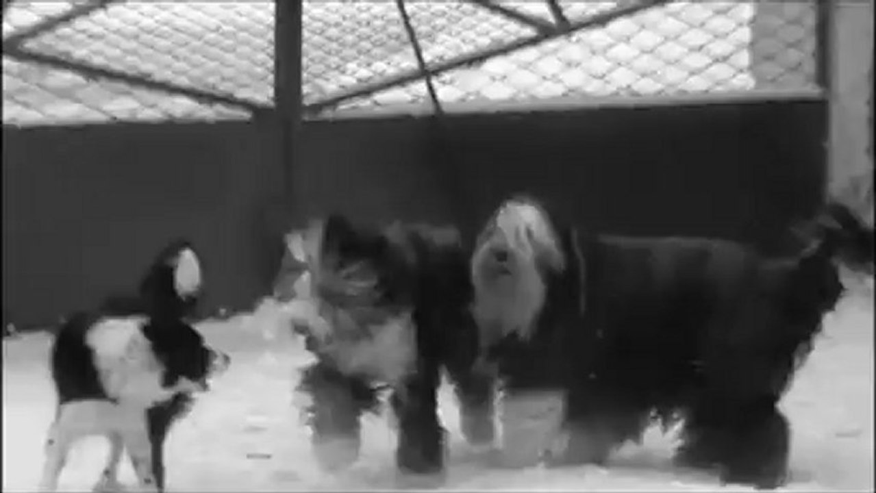 Mon film2