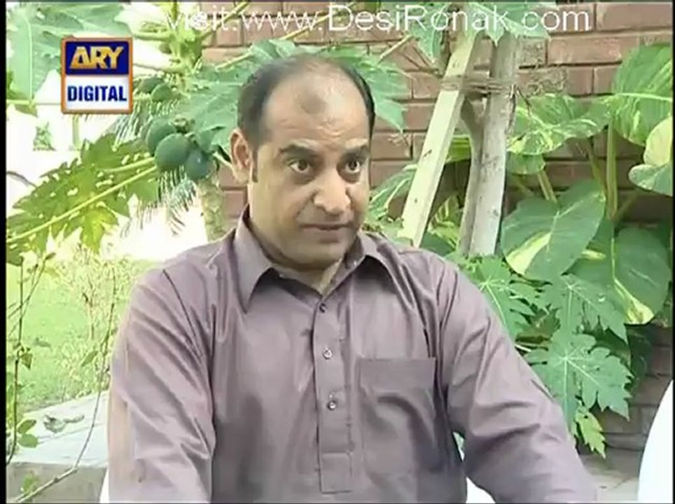 bulbulay p2
