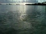 Playas mas hermosas punta cana republica dominicana