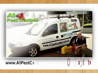 Pest Control In Stanhope Gardens | Call 0417 251 911